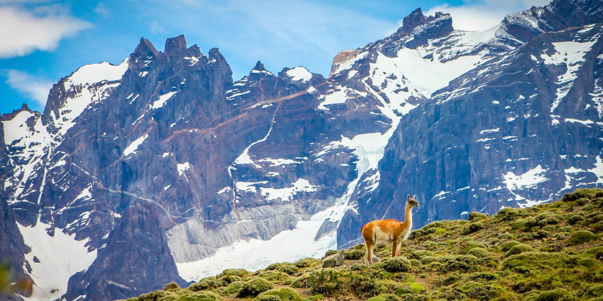 Travel to the precious mountains of Nepal, Clean Serene and Soothing